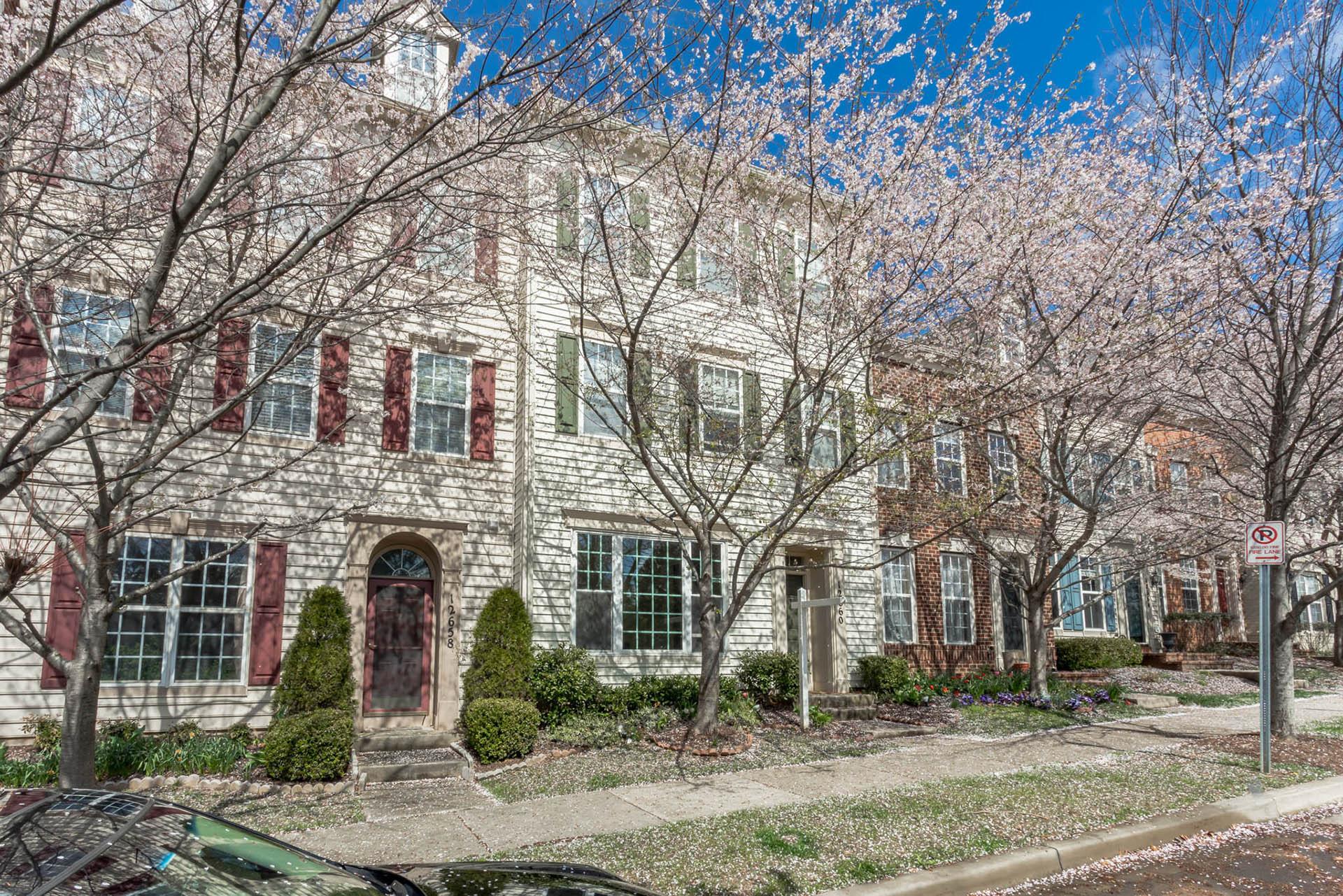 9 Flowery Piedmont
